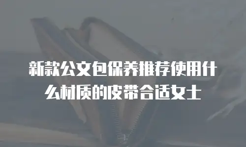 新款公文包保养推荐使用什么材质的皮带合适女士