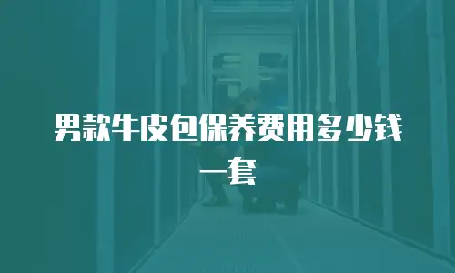 男款牛皮包保养费用多少钱一套