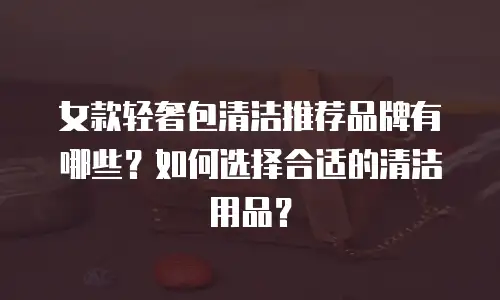 女款轻奢包清洁推荐品牌有哪些？如何选择合适的清洁用品？