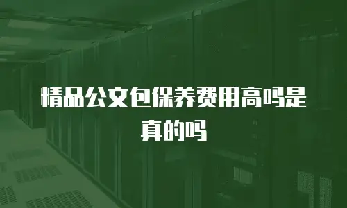精品公文包保养费用高吗是真的吗