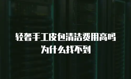 轻奢手工皮包清洁费用高吗为什么找不到