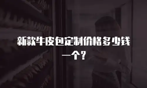 新款牛皮包定制价格多少钱一个？