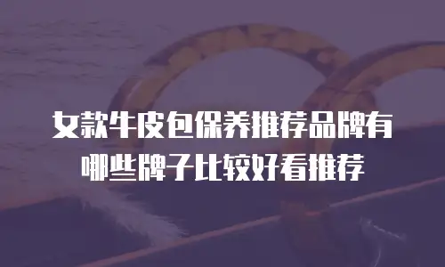 女款牛皮包保养推荐品牌有哪些牌子比较好看推荐
