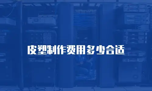 皮塑制作费用多少合适