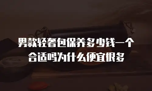 男款轻奢包保养多少钱一个合适吗为什么便宜很多