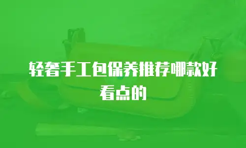 轻奢手工包保养推荐哪款好看点的