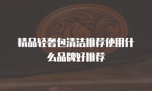 精品轻奢包清洁推荐使用什么品牌好推荐