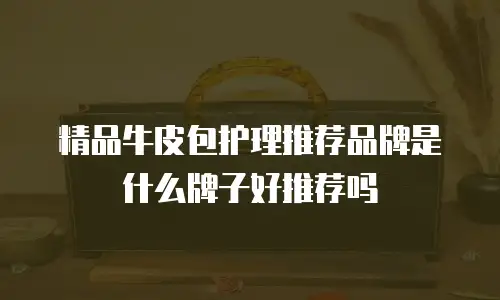 精品牛皮包护理推荐品牌是什么牌子好推荐吗