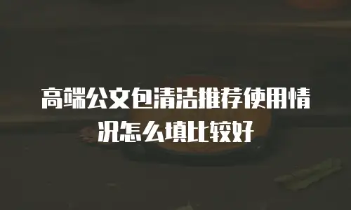 高端公文包清洁推荐使用情况怎么填比较好