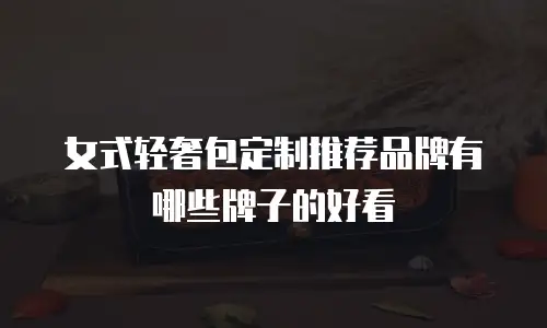 女式轻奢包定制推荐品牌有哪些牌子的好看