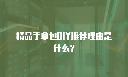 精品手拿包DIY推荐理由是什么？