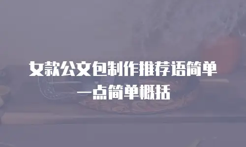 女款公文包制作推荐语简单一点简单概括