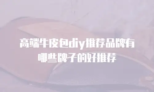 高端牛皮包diy推荐品牌有哪些牌子的好推荐