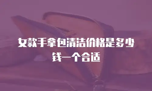 女款手拿包清洁价格是多少钱一个合适