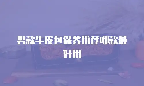 男款牛皮包保养推荐哪款最好用