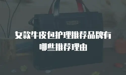 女款牛皮包护理推荐品牌有哪些推荐理由