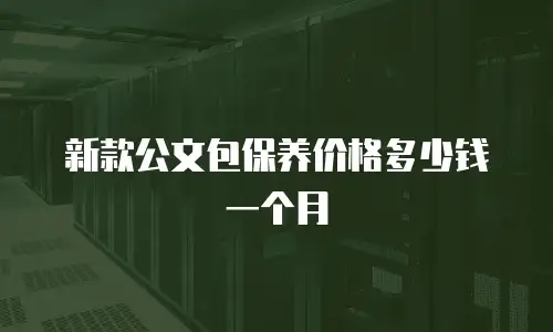 新款公文包保养价格多少钱一个月