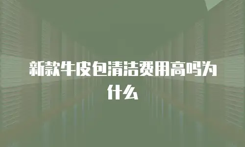新款牛皮包清洁费用高吗为什么