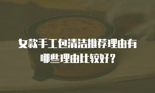 女款手工包清洁推荐理由有哪些理由比较好？