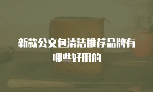 新款公文包清洁推荐品牌有哪些好用的