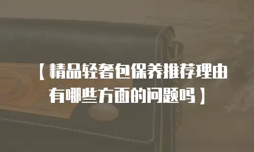 【精品轻奢包保养推荐理由有哪些方面的问题吗】