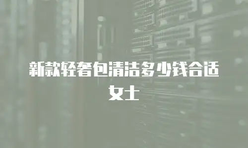 新款轻奢包清洁多少钱合适女士