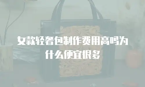 女款轻奢包制作费用高吗为什么便宜很多