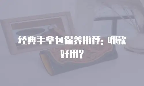 经典手拿包保养推荐: 哪款好用?