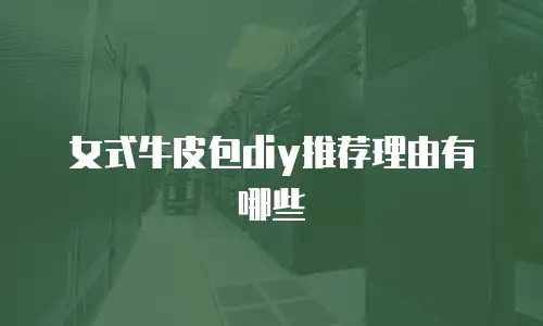 女式牛皮包diy推荐理由有哪些