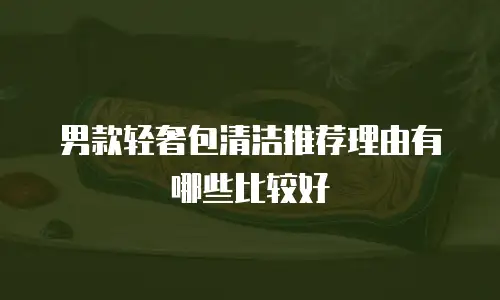 男款轻奢包清洁推荐理由有哪些比较好