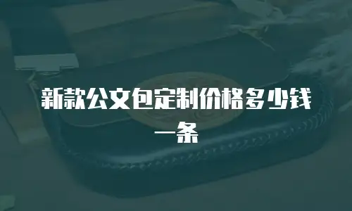 新款公文包定制价格多少钱一条