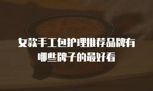 女款手工包护理推荐品牌有哪些牌子的最好看