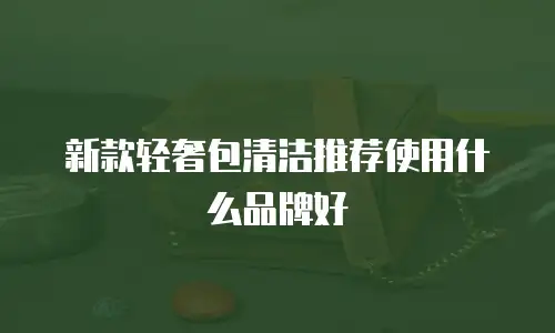 新款轻奢包清洁推荐使用什么品牌好