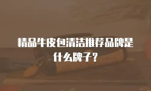精品牛皮包清洁推荐品牌是什么牌子？