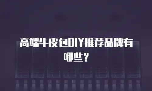 高端牛皮包DIY推荐品牌有哪些？
