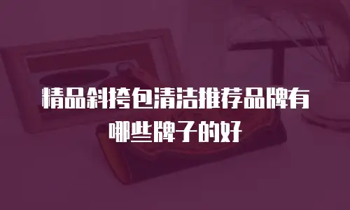 精品斜挎包清洁推荐品牌有哪些牌子的好