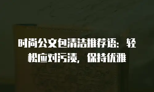 时尚公文包清洁推荐语：轻松应对污渍，保持优雅