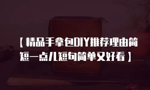 【精品手拿包DIY推荐理由简短一点儿短句简单又好看】