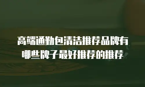 高端通勤包清洁推荐品牌有哪些牌子最好推荐的推荐