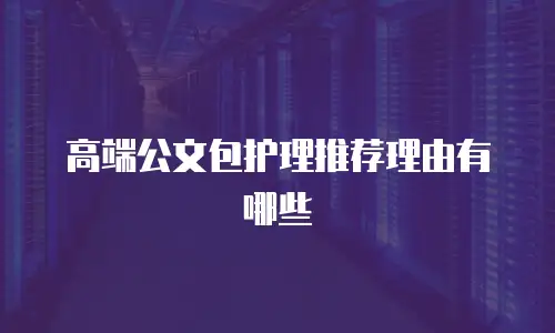 高端公文包护理推荐理由有哪些