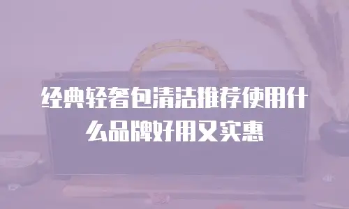 经典轻奢包清洁推荐使用什么品牌好用又实惠