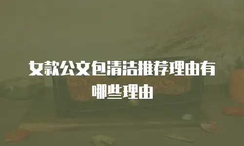 女款公文包清洁推荐理由有哪些理由