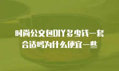 时尚公文包DIY多少钱一套合适吗为什么便宜一些