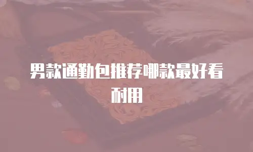 男款通勤包推荐哪款最好看耐用