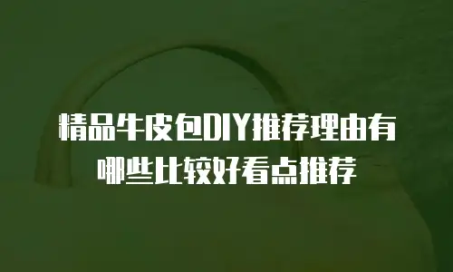 精品牛皮包DIY推荐理由有哪些比较好看点推荐