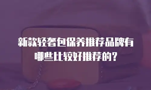 新款轻奢包保养推荐品牌有哪些比较好推荐的？