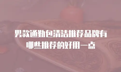 男款通勤包清洁推荐品牌有哪些推荐的好用一点