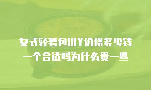 女式轻奢包DIY价格多少钱一个合适吗为什么贵一些