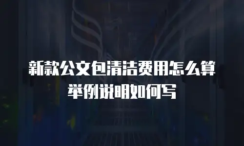 新款公文包清洁费用怎么算举例说明如何写