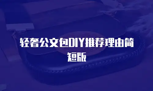轻奢公文包DIY推荐理由简短版